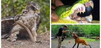 30 пугающих чудес из мира природы (31 фото)
