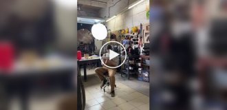 Ентузіаст зробив реальну версію легендарної мобільної гри