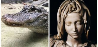 8 Facts That Will Make You Rethink Some Things in Life (10 photos)