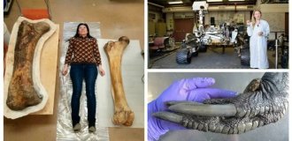 30 impressive photos that show the true scale of things (31 photos)