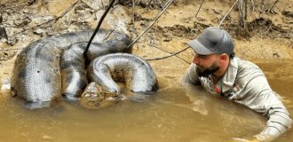 A real monster: a man ended up in the water with a giant 6-meter anaconda (2 photos + 1 video)