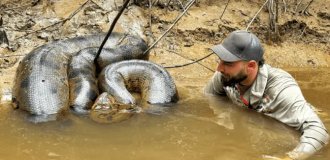 Справжній монстр: чоловік опинився у воді з гігантською 6-метровою анакондою (2 фото + 1 відео)