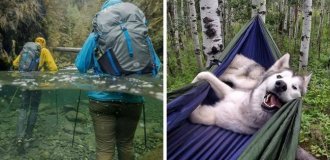 17 interesting moments that people managed to photograph when they went hiking (18 photos)