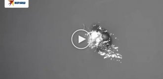 Ловушка для ловли лобстеров спасла жизнь серфингисту