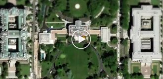 В США разработали дрон, который охотится на комаров