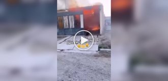A dog rushes into a barn on fire to save its puppies.
