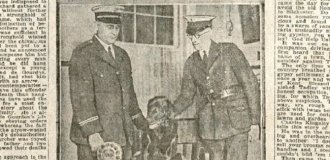 Sit! The Story of Pep the Dog, Sentenced to Life on Framed Charges (6 photos)