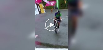 Собака внезапно появилась на трассе посреди велогонки в Колумбии