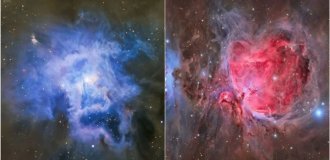 Миллиарды световых лет красоты: Звездные оранжереи к 8 Марта (5 фото)