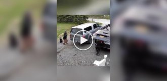 Добірка неуважних людей