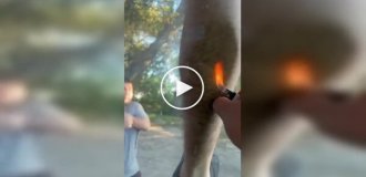 When friends' jokes get out of control