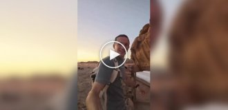 Безумное жилье с Airbnb