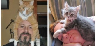 20 Furry Bosses Who Literally Climbed on Their Owners' Heads (21 photos)