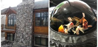 20 цікавих моментів, на які доведеться подивитись двічі (21 фото)