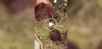 Первый день на работе