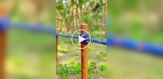 Узлы на все случаи жизни