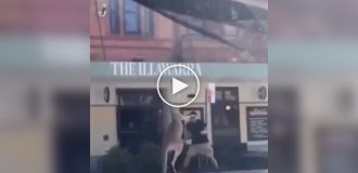 Жители Австралии выясняют отношения