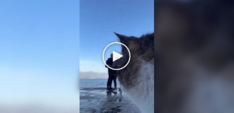 Романтический танец и кот, который забрал весь кадр