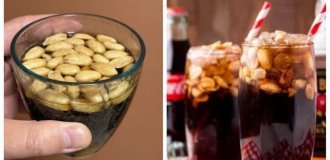 Японці відкрили для себе колу із солоним арахісом (6 фото + 1 відео)