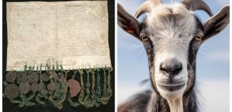 Кожаные облигации XVII века, которые ухитряются до сих пор приносить доход (7 фото)