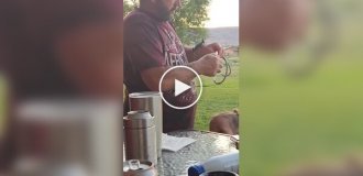 Рогатка чуть не уничтожила имущество