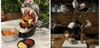 20 учасників святкового марафону незвичайних, але естетичних страв (21 фото)