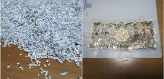 A Japanese man spent three weeks collecting a bill that accidentally fell into a shredder (5 photos)