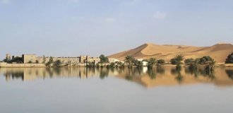 Heavy rains changed the face of the Sahara Desert (3 photos + 1 video)