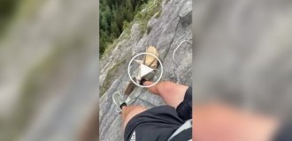 Неожиданная встреча в горах