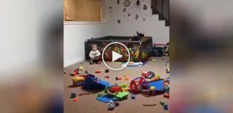 Dog appreciates pool with balls