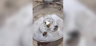 Стиральной машине сейчас 114 лет, и она все еще работает
