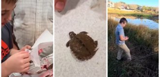 A father and son found a live turtle inside a fish (2 photos + 1 video)