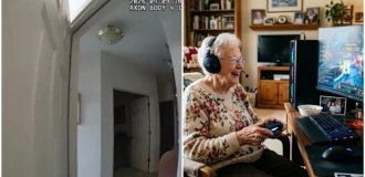 Гейминг без границ: 91-летняя американка заставила полицию изрядно понервничать (2 фото + 1 видео)