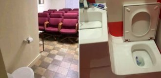 14 "geniuses" who turned toilets into something else (15 photos)