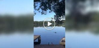 Во Франции пожарный вертолет рухнул в пруд и разбился