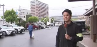 В Японии померанский шпиц начал служить в полиции