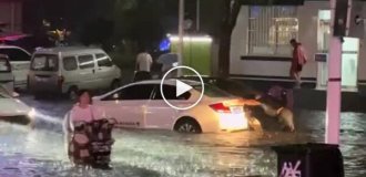 A dog and his owner pushed a car from a flooded street