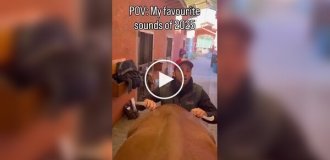 Как работает конный мануальный терапевт