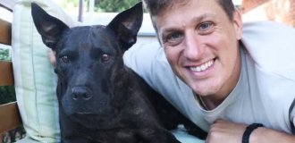 AI almost cured a dog of cancer (4 photos)