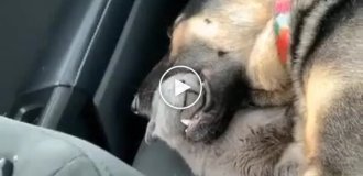 Тихий и спокойный сон