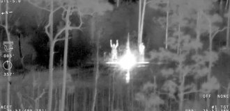 Отец с сыном застряли на болотах, кишащих аллигаторами (4 фото + 1 видео)