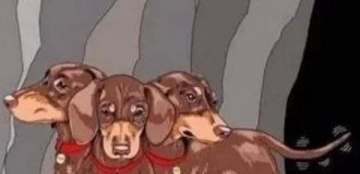 Лучшие шутки и мемы из Сети. Выпуск 714 (161 картинок)