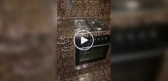 The most leopard kitchen in the world