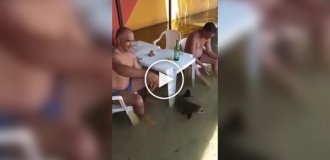 Пиво з рибкою