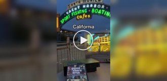 Необычное путешествие учителя-геймера по США