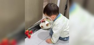 Мама объяснила сыну, как работают инвестиции — с клубникой наглядно