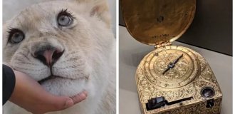18 удивительных вещей, явлений и людей, которые заставят пересмотреть устоявшиеся взгляды на мир (19 фото)