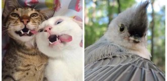 25 привабливих симпатяг, селфі яких явно кращі за наші (26 фото)