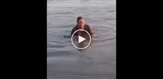 A woman mistook a caiman for a piece of wood.