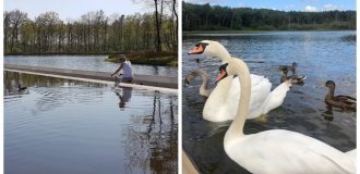 Оригинальная велодорожка, позволяющая рассекать водные просторы и общаться с утками (14 фото + 1 видео)